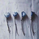 الصورة الرمزية ل Aya Fouad