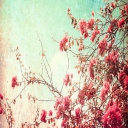 صورة رمزية