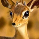 صورة رمزية