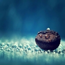 الصورة الرمزية ل DouKS