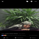 الصورة الرمزية ل Amany rakha