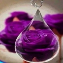 الصورة الرمزية ل Eman Al hefnawi
