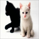 الصورة الرمزية ل reem