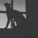 صورة رمزية