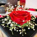 Khaoula.A