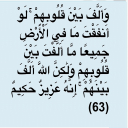 الصورة الرمزية ل ياسر النزاوي