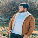 الصورة الرمزية ل ذوالفقار العنبكي