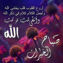 الصورة الرمزية ل Ahmad Alabdullah