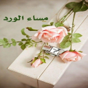 الصورة الرمزية ل سعيد البراك