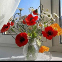 الصورة الرمزية ل Wafaa Wafaa