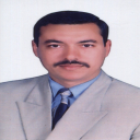الصورة الرمزية ل Ayman Elnaggar