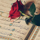 الصورة الرمزية ل نهله ابراهيم